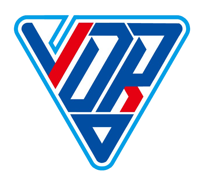 icon_vidpro